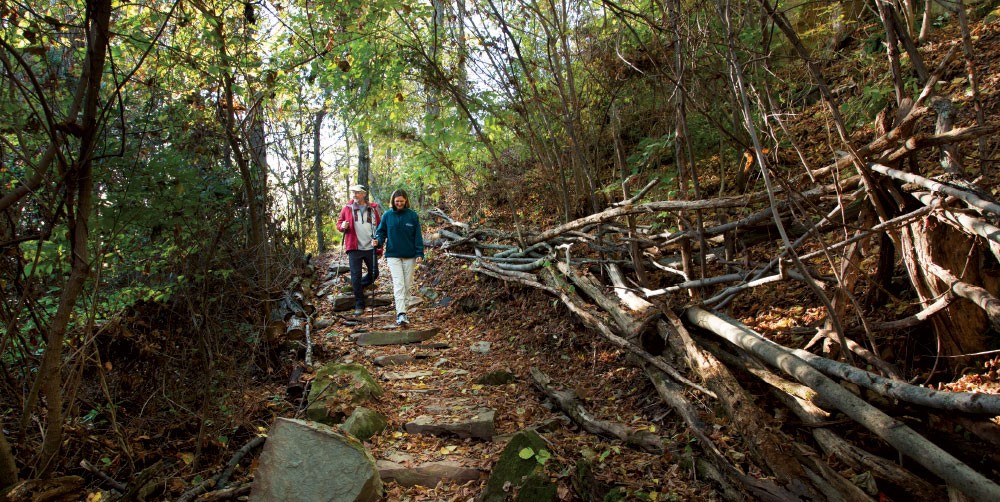 5 West Virginia Autumn Hikes Perfect for the Family
